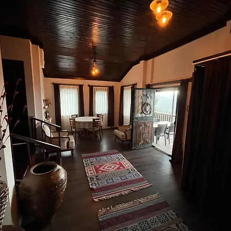 Sirince Citak Konaklari * סלצ'וק